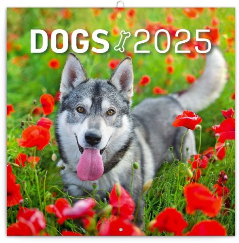 Realsystem 2025 Dogs 6097-DO falinaptár