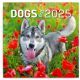 Realsystem 2025 Dogs 6097-DO falinaptár