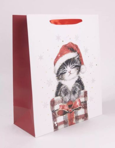 Karácsonyi Ajándékdobozos Cica – Ajándéktáska (S méret)