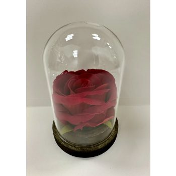 Bársony rózsa üvegbúrában – az örök elegancia