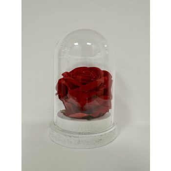   Bársony rózsa fehér talapzaton üvegbúrában – elegáns ajándék minden alkalomra
