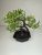 Mini bonsai dekoráció műnövény fekete talppal