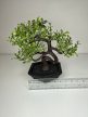 Mini bonsai dekoráció műnövény fekete talppal