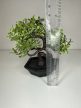 Mini bonsai dekoráció műnövény fekete talppal