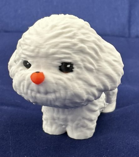 Bichon Frise mini kiskutya – A Bájos Társ