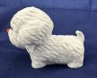 Bichon Frise mini kiskutya – A Bájos Társ