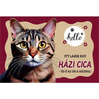   Házi cica lábtörlő – vicces macskás bejárati szőnyeg „Itt lakik egy házi cica” 60×40 cm