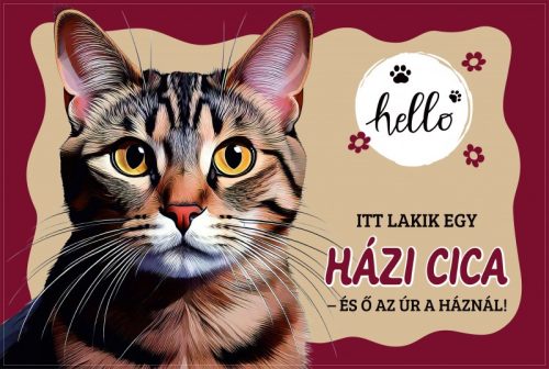 Házi cica lábtörlő – vicces macskás bejárati szőnyeg „Itt lakik egy házi cica” 60×40 cm