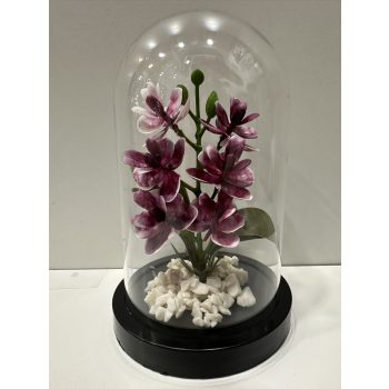 Orchidea Elegancia búra alatt