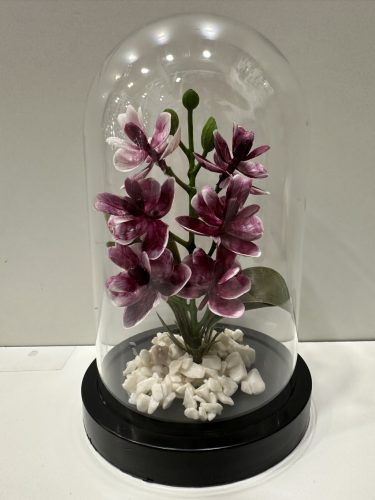 Orchidea Elegancia búra alatt