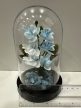Sky Blue Orchidea dekor