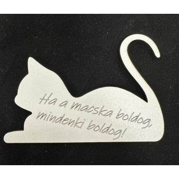 Macskás hűtőmágnes – A cicatulajdonosok igazságai