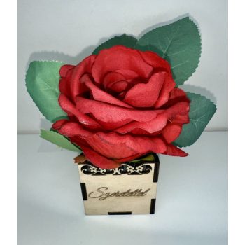 Piros Örök Rózsa – Szeretettel fa díszdobozban