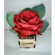 Piros Örök Rózsa – Szeretettel fa díszdobozban