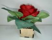 Piros Örök Rózsa – Szeretettel fa díszdobozban