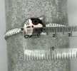 Cicás Zsinóros Karkötő Fehér Macskafejjel – Fehér, Állítható