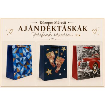 Közepes Méretű  Ajándéktáskák Férfiak részére