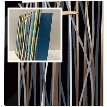 Elegáns Ajándéktáska